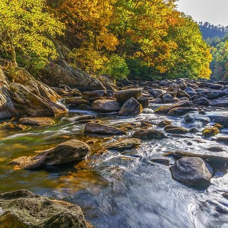 Bear Cub Retreat Apartment Gatlinburg Luaran gambar